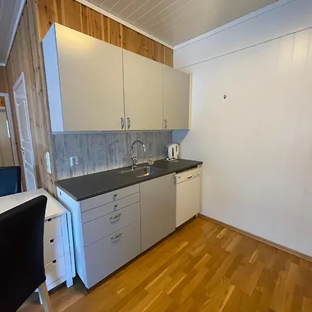 Appartement Signegarden - Midt I Fjellheimen - Tett Pa Fjord-Norge à Skjåk Extérieur photo