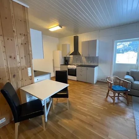 Appartement Signegarden - Midt I Fjellheimen - Tett Pa Fjord-Norge à Skjåk Extérieur photo