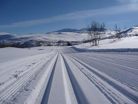 Signegarden - Midt I Fjellheimen - Tett Pa Fjord-norge Appartement